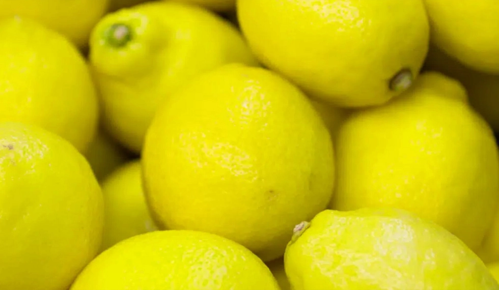 Come congelare i limoni