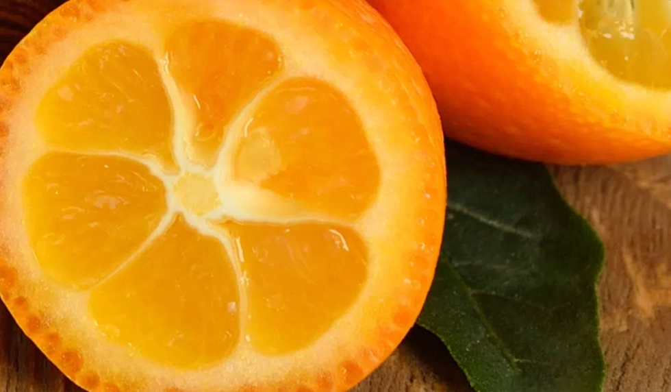 Mezzo kumquat